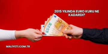 2015 Yılında Euro Kuru Ne Kadardı?