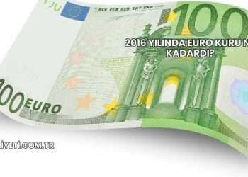 2016 Yılında Euro Kuru Ne Kadardı?