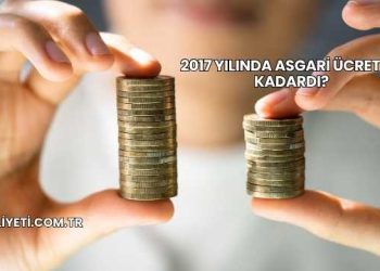 2017 Yılında Asgari Ücret Ne Kadardı?