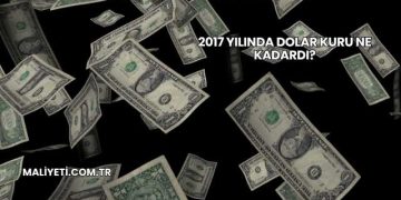2017 Yılında Dolar Kuru Ne Kadardı?