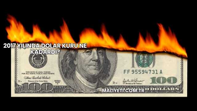 2017 Yılında Dolar Kuru Ne Kadardı?