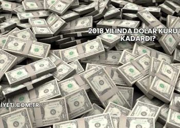 2018 Yılında Dolar Kuru Ne Kadardı?