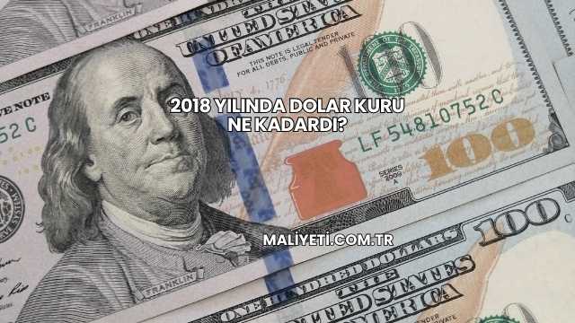 2018 Yılında Dolar Kuru Ne Kadardı?