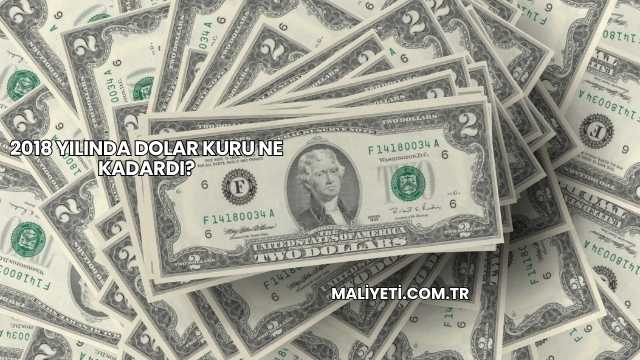 2018 Yılında Dolar Kuru Ne Kadardı?