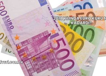 2018 Yılında Euro Kuru Ne Kadardı?