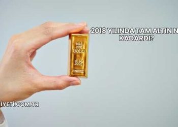 2018 Yılında Tam Altın Ne Kadardı?