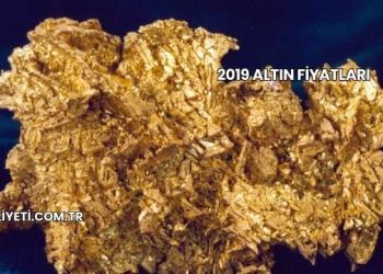 2019 Altın Fiyatları
