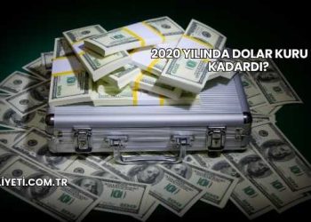 2020 Yılında Dolar Kuru Ne Kadardı?