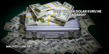 2020 Yılında Dolar Kuru Ne Kadardı?
