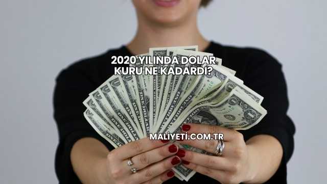 2020 Yılında Dolar Kuru Ne Kadardı?
