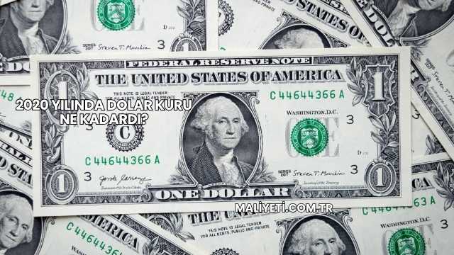 2020 Yılında Dolar Kuru Ne Kadardı?