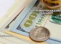 2021 Yılında Dolar Kuru Ne Kadardı?