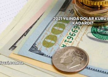 2021 Yılında Dolar Kuru Ne Kadardı?