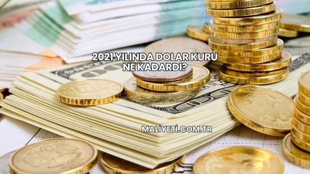 2021 Yılında Dolar Kuru Ne Kadardı?