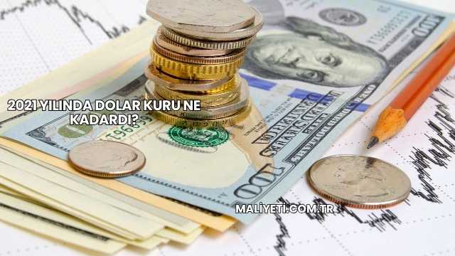 2021 Yılında Dolar Kuru Ne Kadardı?