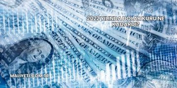2022 Yılında Dolar Kuru Ne Kadardı?