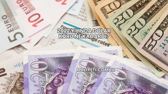 2022 Yılında Dolar Kuru Ne Kadardı?