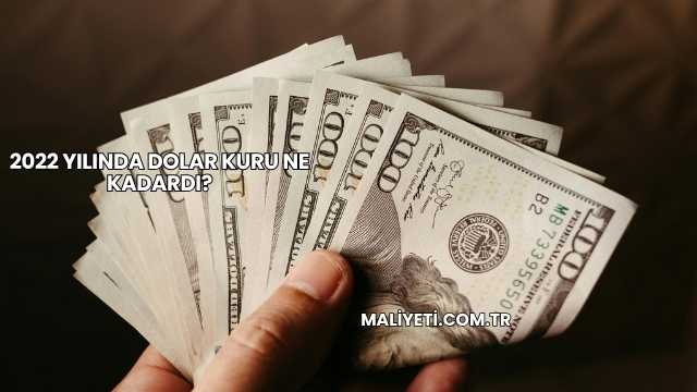 2022 Yılında Dolar Kuru Ne Kadardı?
