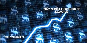 2022 Yılında Euro Kuru Ne Kadardı?