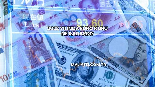 2022 Yılında Euro Kuru Ne Kadardı?
