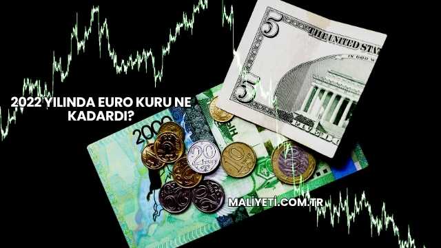 2022 Yılında Euro Kuru Ne Kadardı?