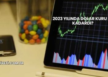 2023 Yılında Dolar Kuru Ne Kadardı?