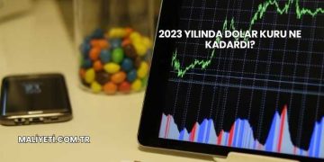 2023 Yılında Dolar Kuru Ne Kadardı?