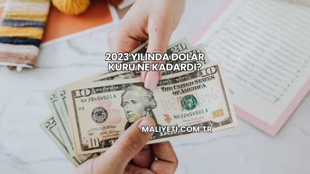 2023 Yılında Dolar Kuru Ne Kadardı?