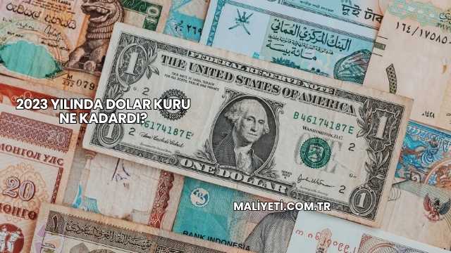 2023 Yılında Dolar Kuru Ne Kadardı?