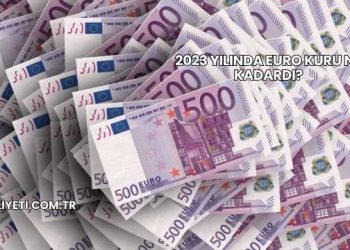 2023 Yılında Euro Kuru Ne Kadardı?