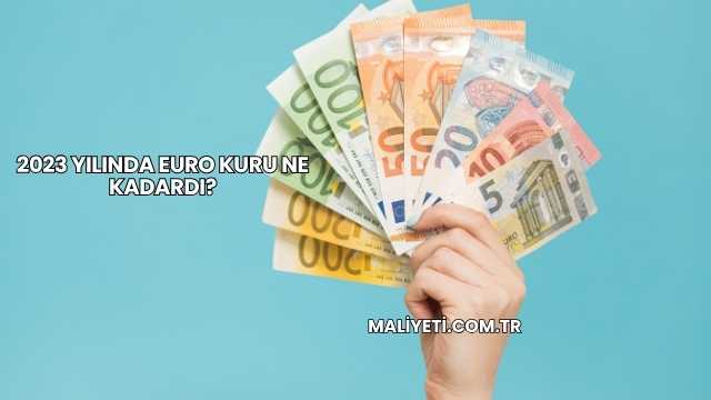 2023 Yılında Euro Kuru Ne Kadardı?