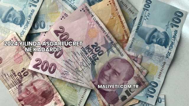 2024 Yılında Asgari Ücret Ne Kadardı?
