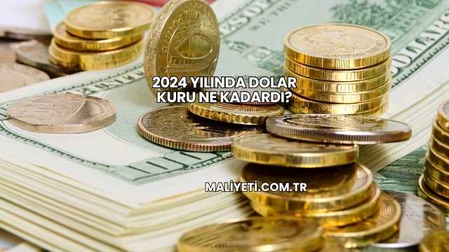 2024 Yılında Dolar Kuru Ne Kadardı?