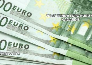 2024 Yılında Euro Kuru Ne Kadardı?