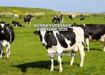 Adana Kurbanlık Fiyatları 2025