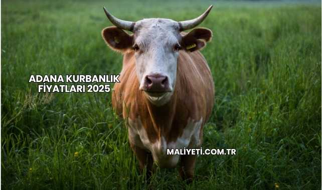 Adana Kurbanlık Fiyatları 2025