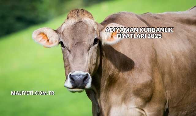 Adıyaman Kurbanlık Fiyatları 2025