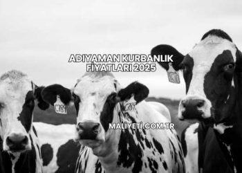 Adıyaman Kurbanlık Fiyatları 2025
