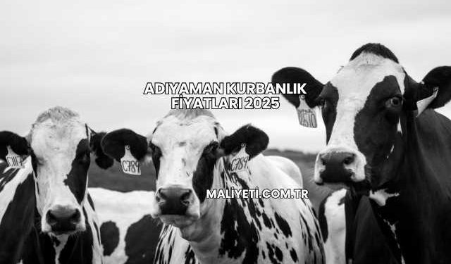 Adıyaman Kurbanlık Fiyatları 2025