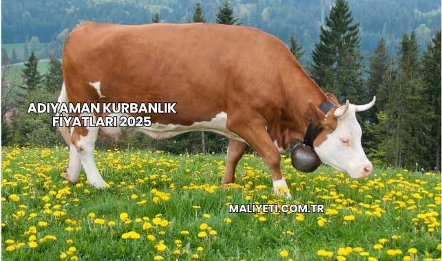Adıyaman Kurbanlık Fiyatları 2025