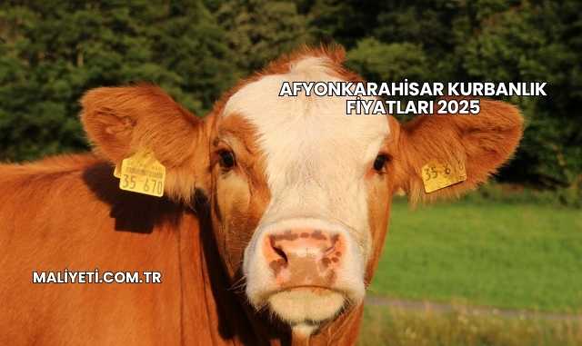 Afyonkarahisar Kurbanlık Fiyatları 2025