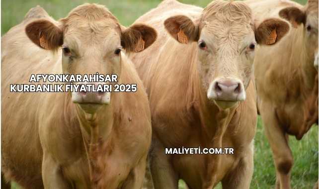 Afyonkarahisar Kurbanlık Fiyatları 2025