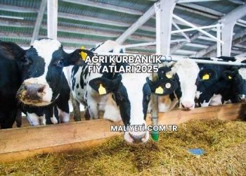 Ağrı Kurbanlık Fiyatları 2025