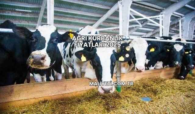 Ağrı Kurbanlık Fiyatları 2025
