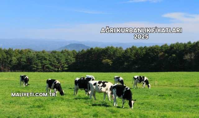 Ağrı Kurbanlık Fiyatları 2025