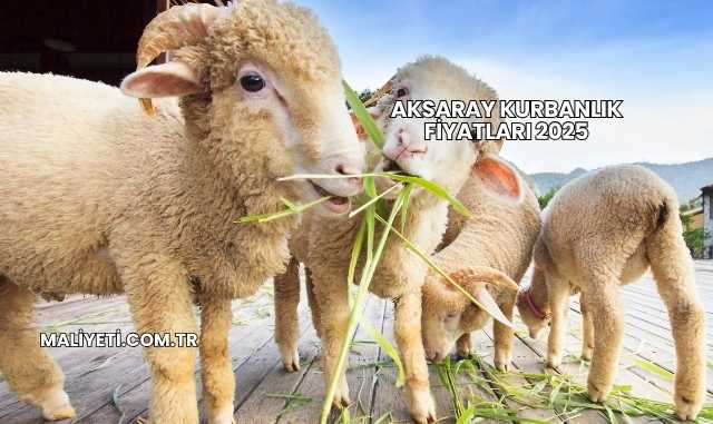 Aksaray Kurbanlık Fiyatları 2025