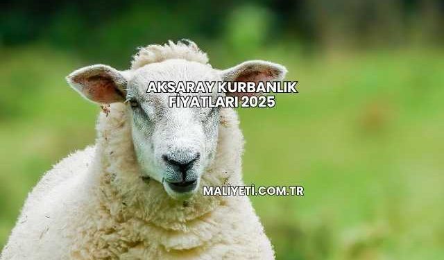 Aksaray Kurbanlık Fiyatları 2025