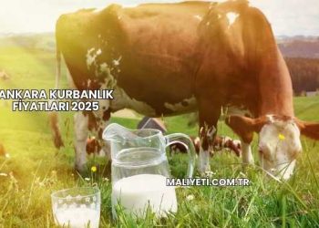 Ankara Kurbanlık Fiyatları 2025