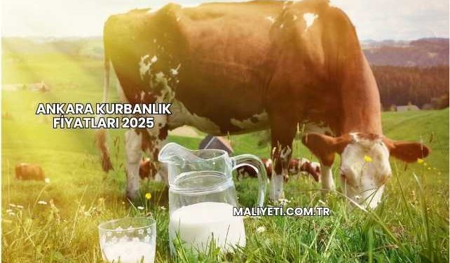 Ankara Kurbanlık Fiyatları 2025