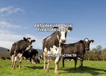 Artvin Kurbanlık Fiyatları 2025